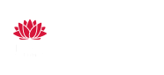 eHealth NSW logo white